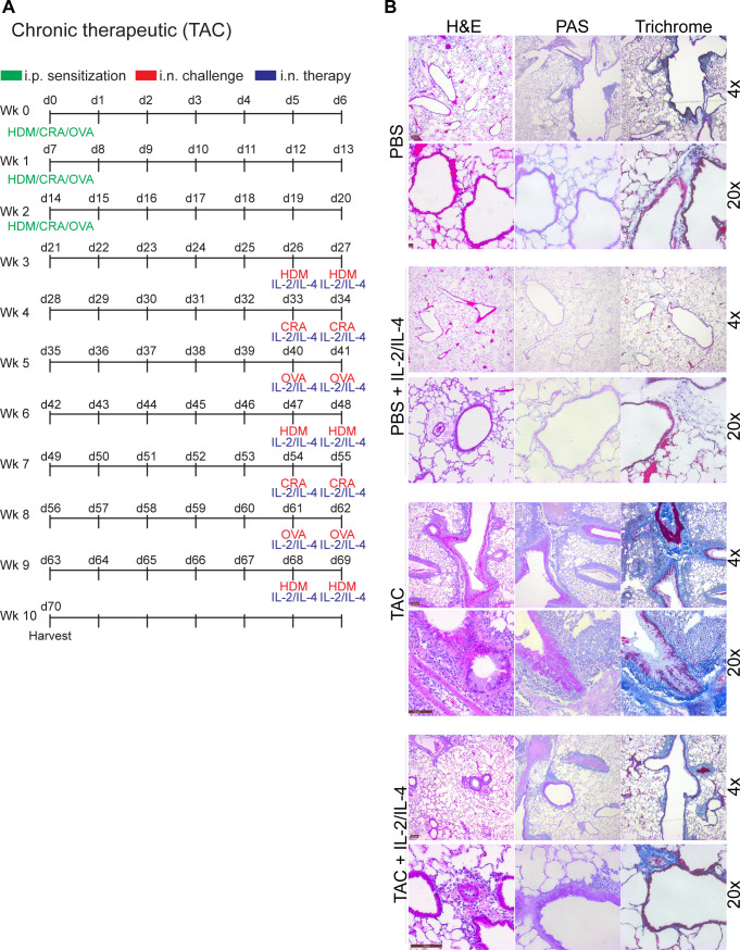 Figure 6—figure supplement 3.