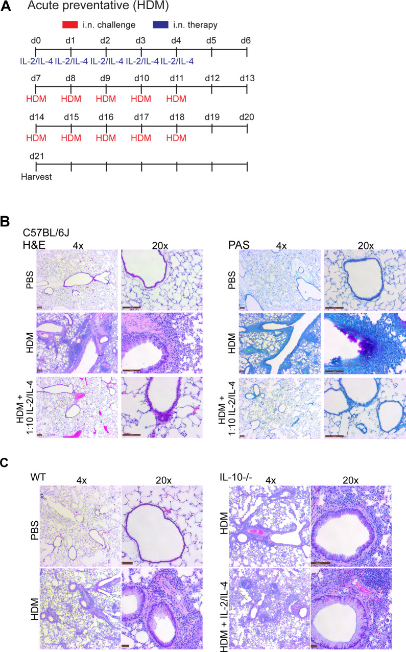 Figure 6—figure supplement 2.