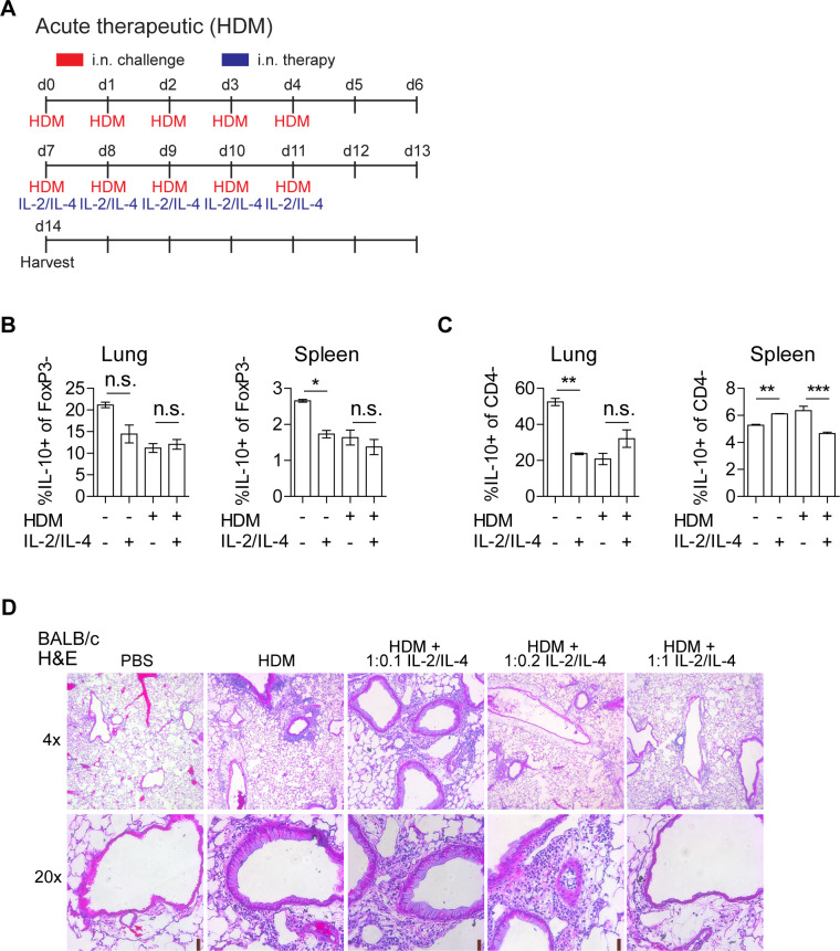 Figure 6—figure supplement 1.