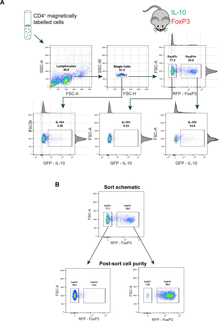 Figure 1—figure supplement 1.