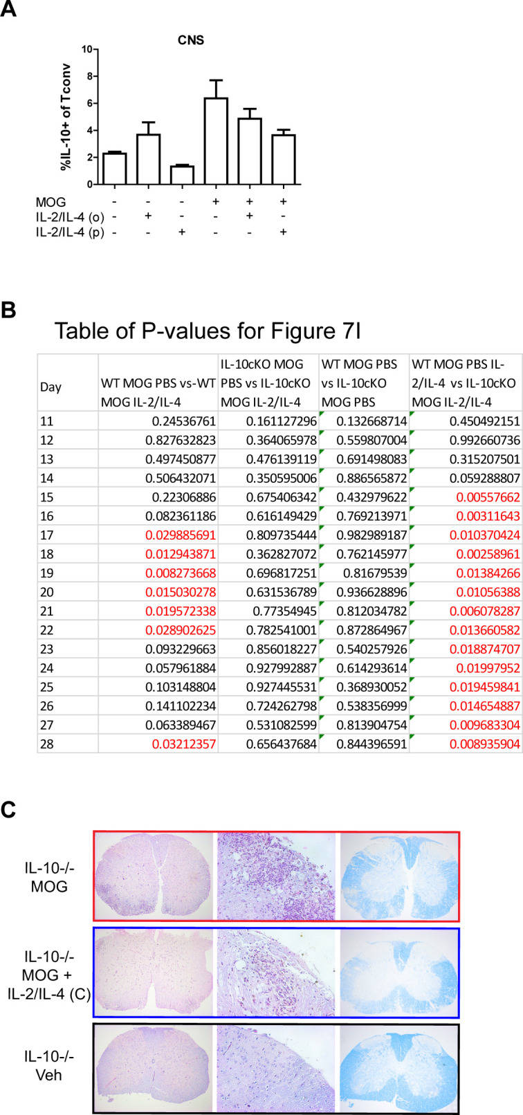 Figure 7—figure supplement 3.