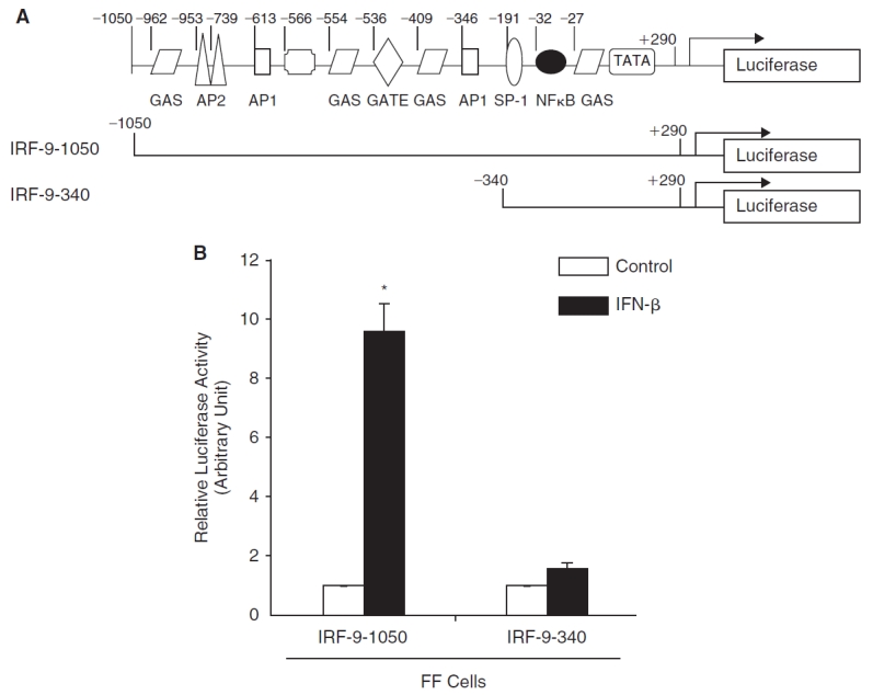 FIG. 3. 