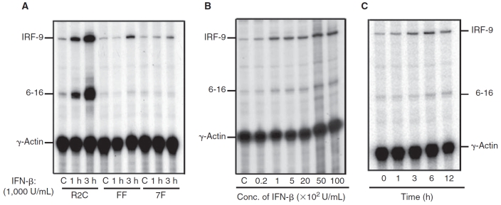 FIG. 2. 