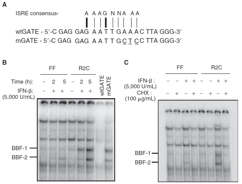 FIG. 4. 