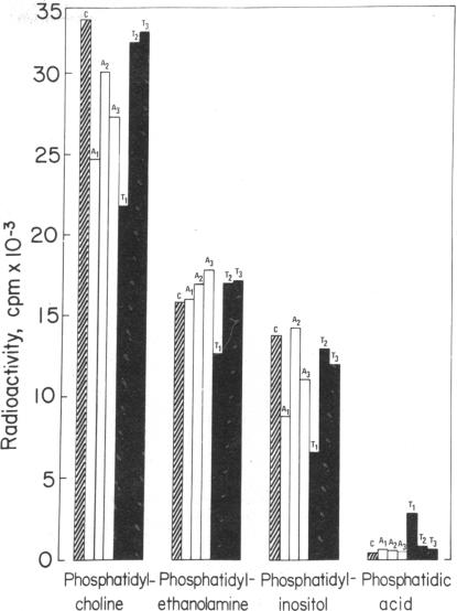 graphic file with name pnas00014-0291-a.jpg