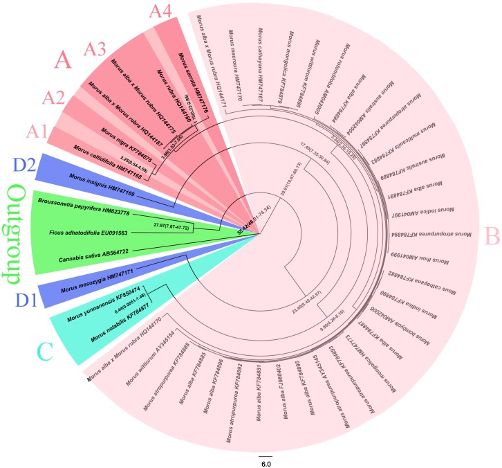 Fig 1