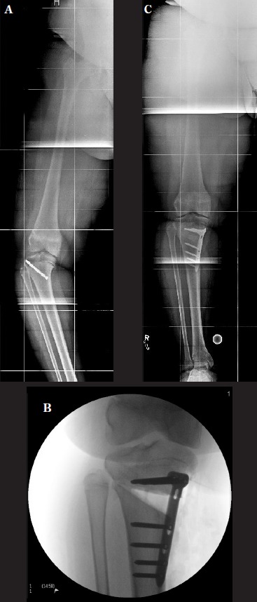 Figure 1: