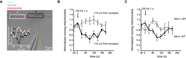 Figure 6