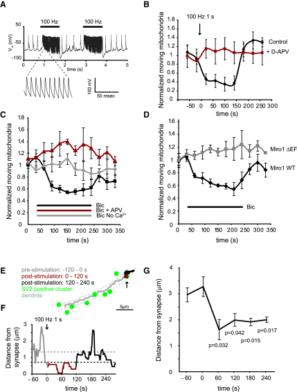 Figure 5