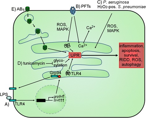 Fig. 2