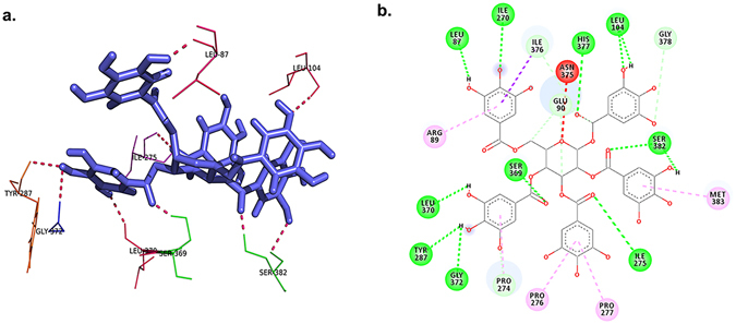 Figure 7