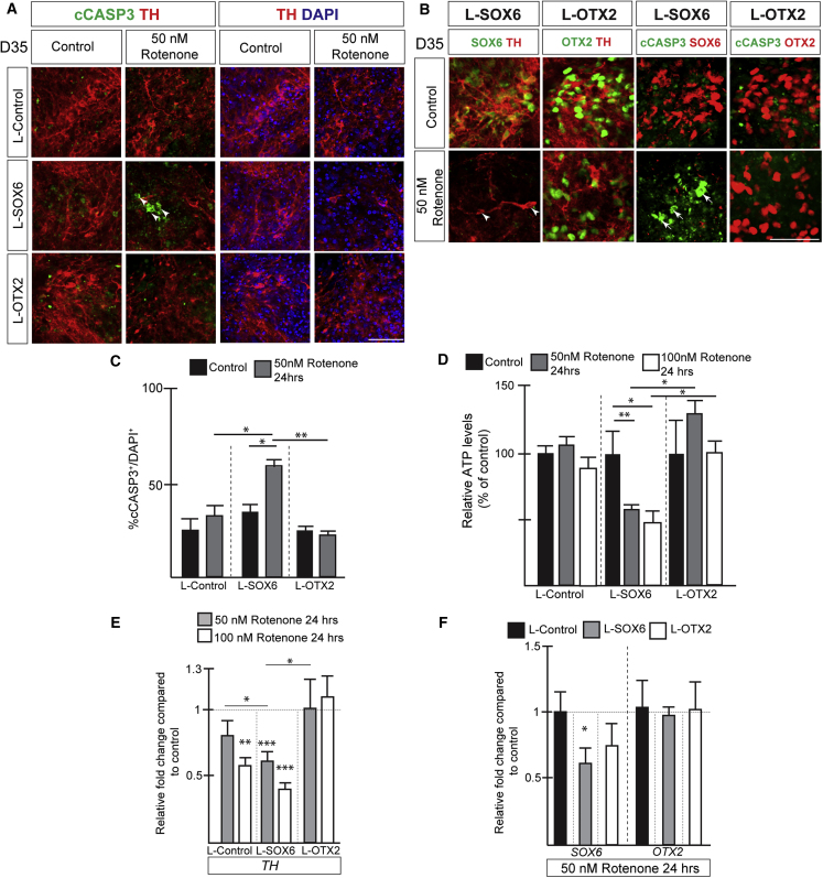 Figure 6