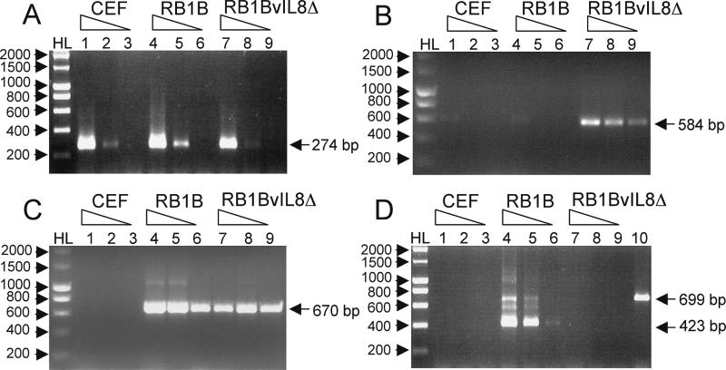 FIG. 8