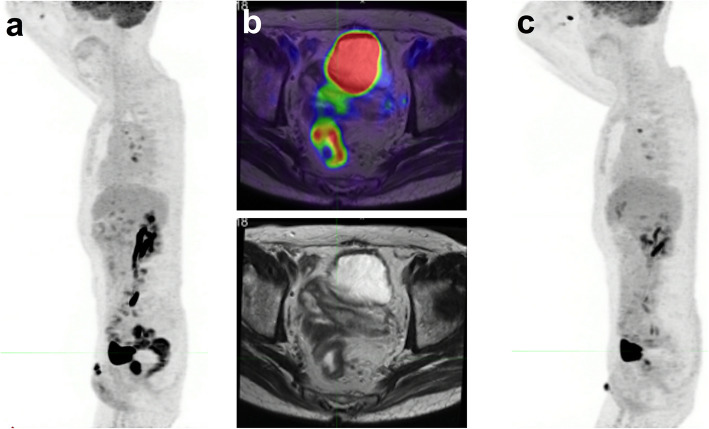 Fig. 8