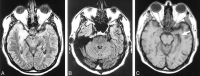<sc>fig</sc> 1.