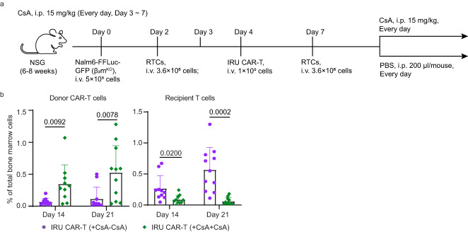 Fig. 6