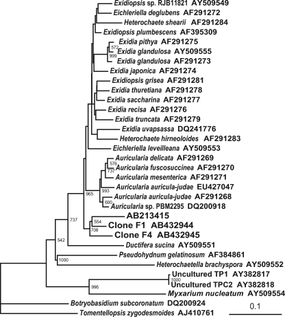 FIG. 3.