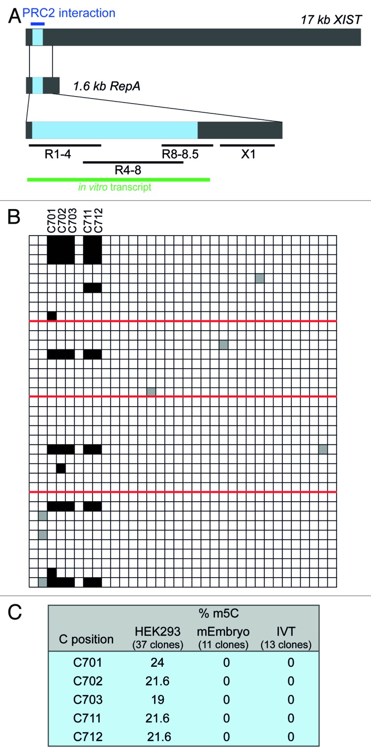 graphic file with name rna-10-1002-g2.jpg