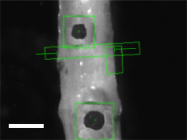 Fig. 3