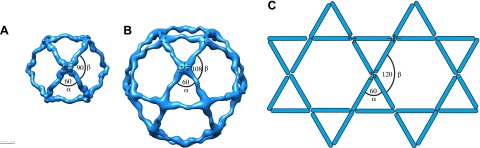 Figure 3—figure supplement 1.