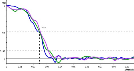 Figure 2—figure supplement 1.