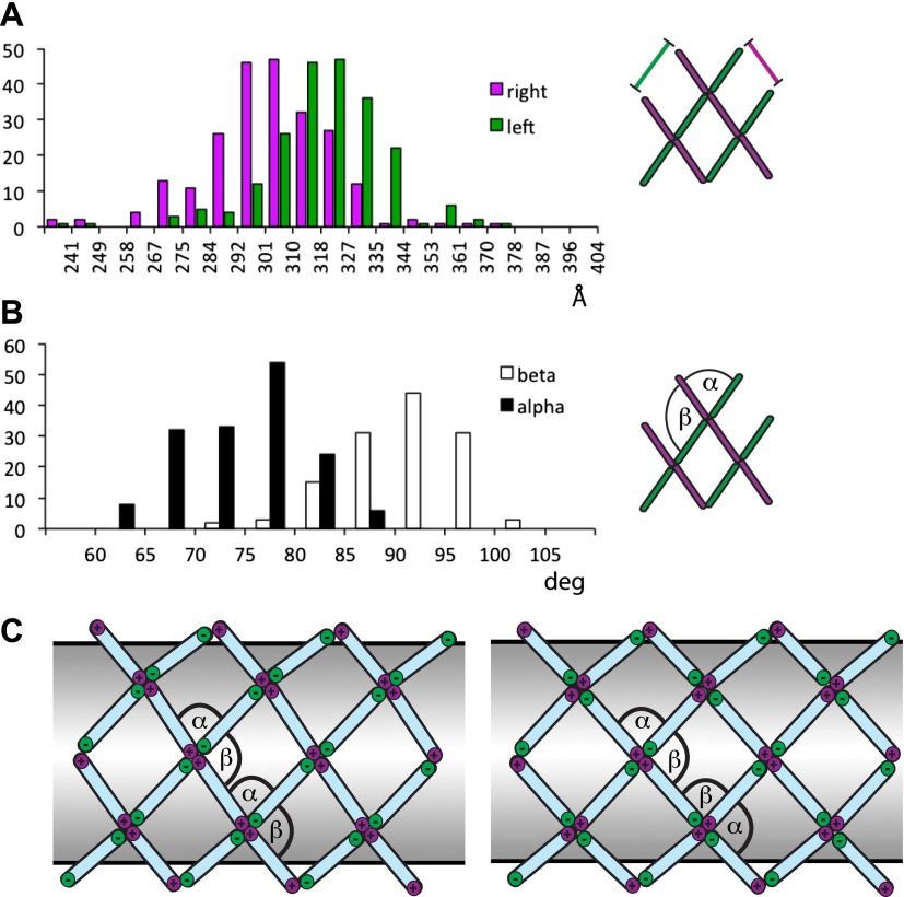 Figure 3—figure supplement 2.