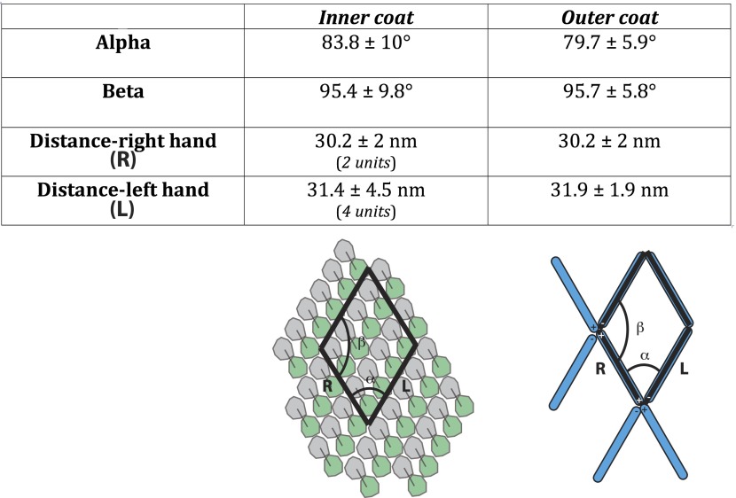 Figure 3—figure supplement 3.