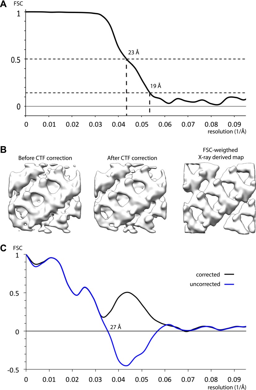 Figure 4—figure supplement 1.