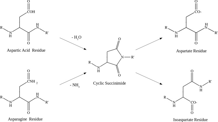 Fig. 9