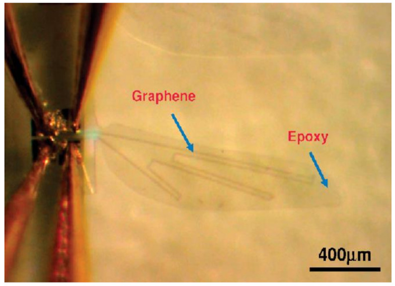 Figure 10