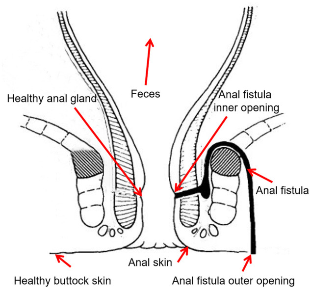 Figure 1