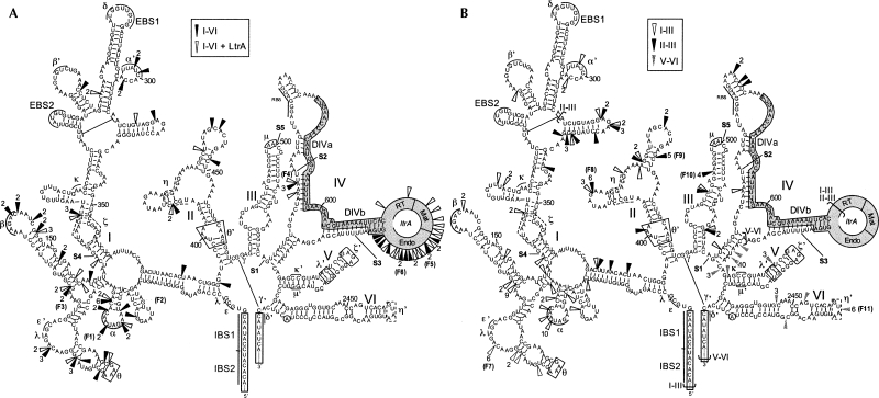 FIGURE 4.