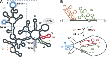 FIGURE 2.