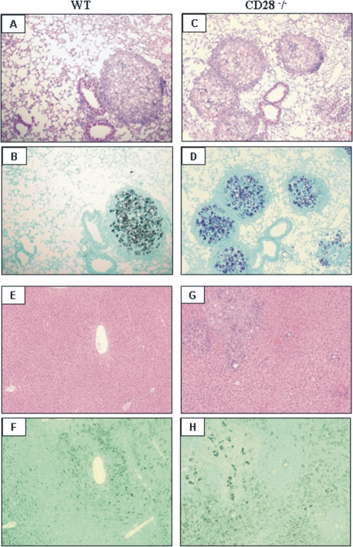 FIG. 8.