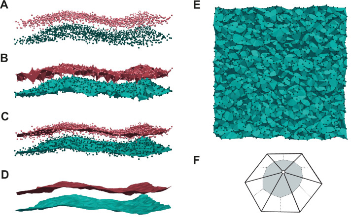 Figure 3—figure supplement 1.