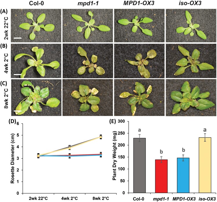 Fig. 3.