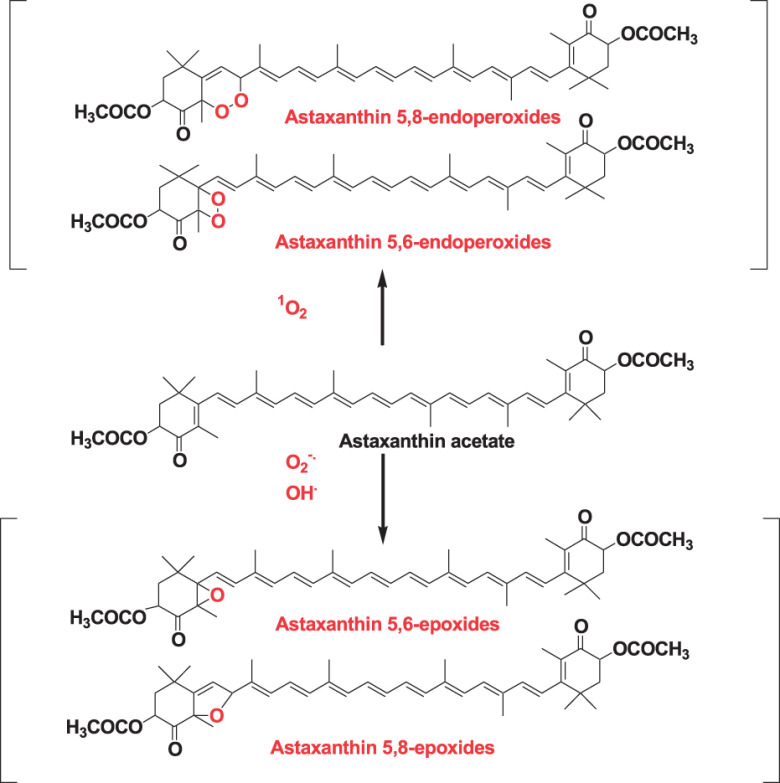 Fig. 12. Reaction products of astaxanthin acetate with singlet oxygen, superoxide anion radicals, and hydroxyl radicals. Reprinted from Ref. 3.