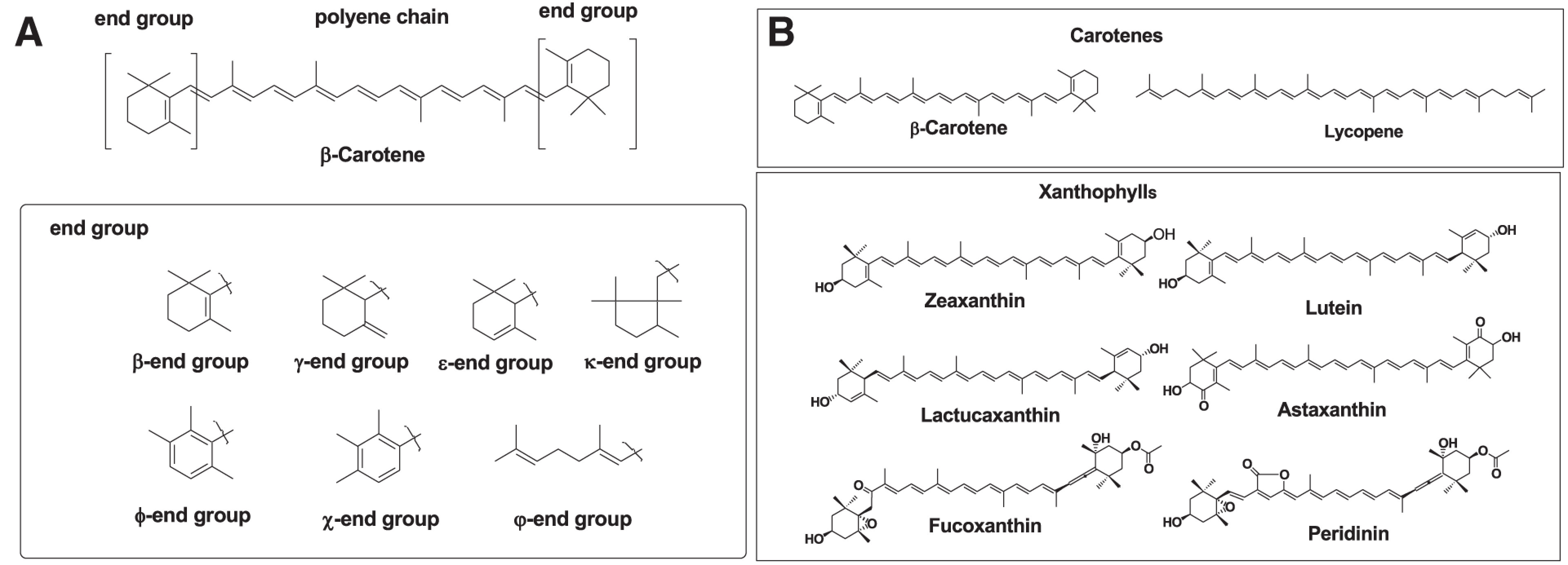 Fig. 1. (A) Basic structures of carotenoids and end groups. (B) Structures of typical carotenes and xanthophylls. Reprinted from Ref. 3.