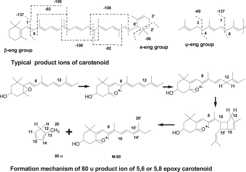 Fig. 8. Typical products ions of ESI MS/MS spectra of carotenoids. ESI, electrospray ionization.