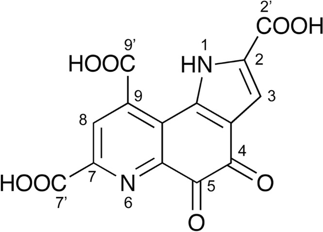 FIG 1