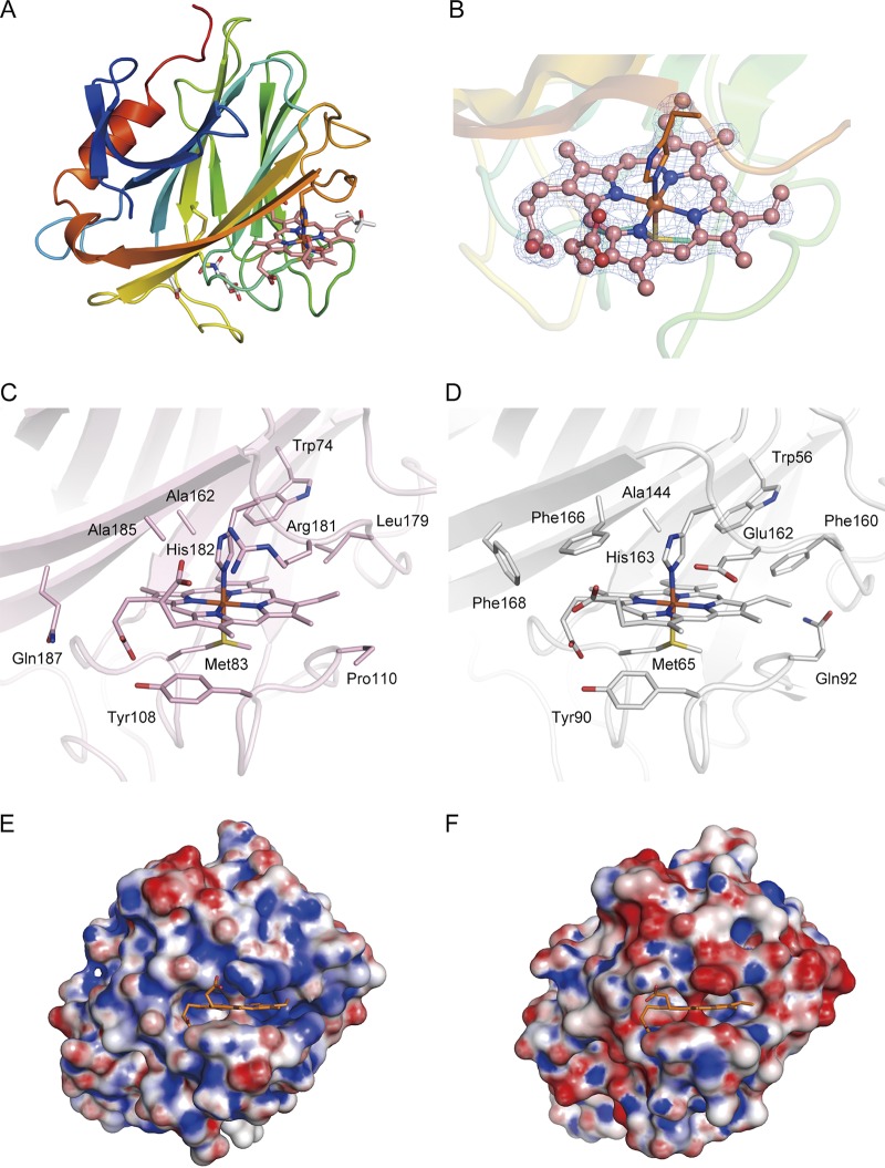 FIG 4