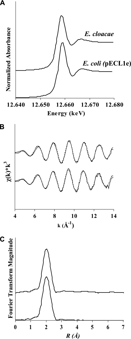 FIG. 5.