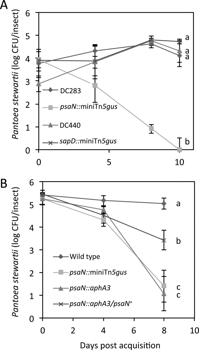 Fig 5