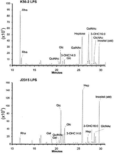 FIG. 7.