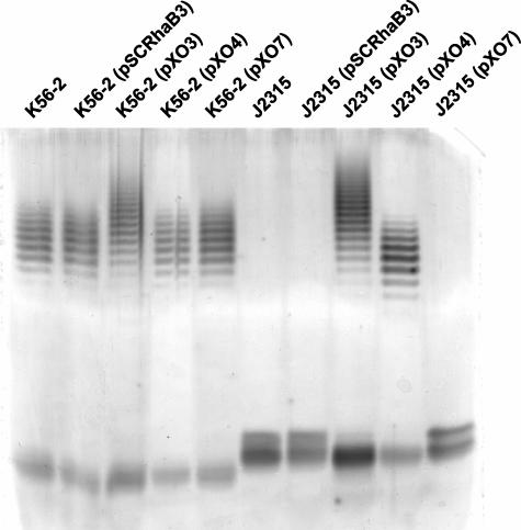 FIG. 6.