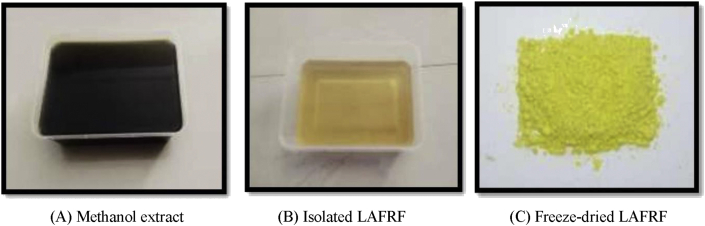 Figure 2