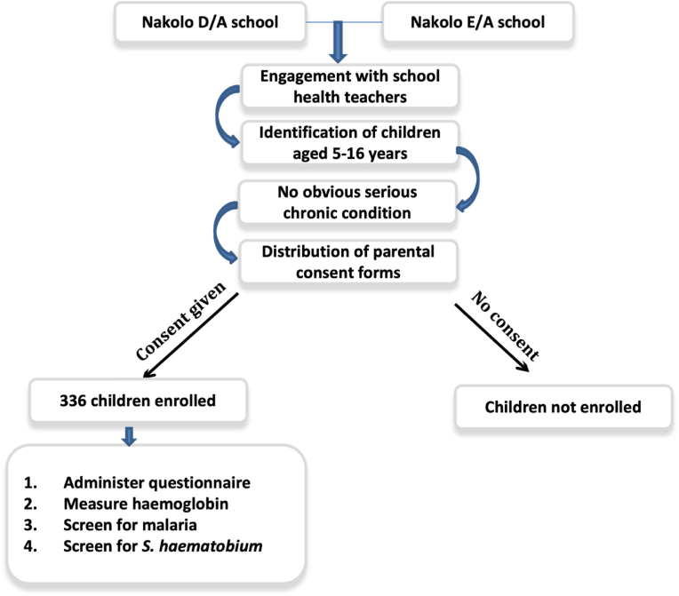 Figure 1