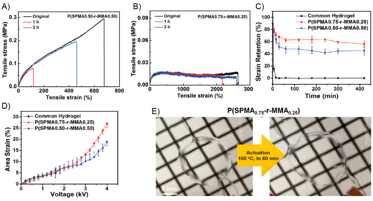 Figure 42