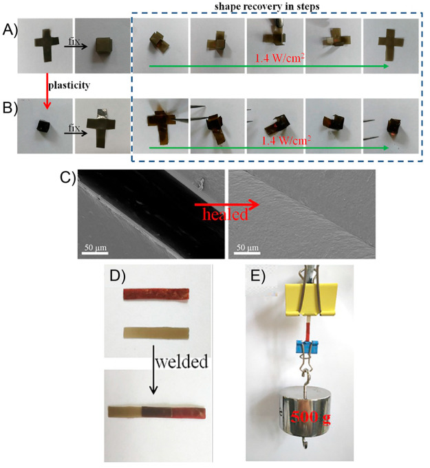 Figure 11