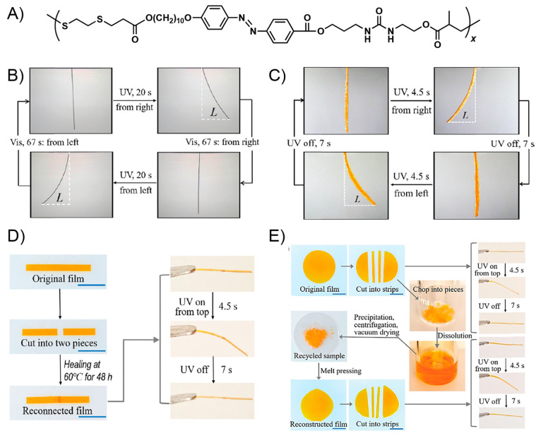 Figure 21